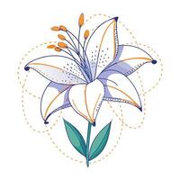 Abstract dotted line lily with beautifully fragmented strokes in illustration vector