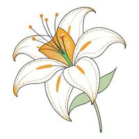 Modern dotted line lily showcasing its fragmented linear design in art vector