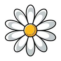 Unique echo line daisy highlighting its repeating floral pattern in graphic vector