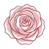 Abstract echo line rose with a subtle repeating pattern in illustration vector