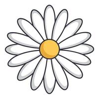 Modern echo line daisy showcasing its repetitive petal outline design in art vector
