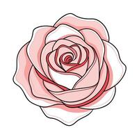 Modern echo line rose showcasing its delicate repetitive design in art vector