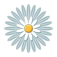 Unique echo wave daisy highlighting its rhythmic petal shadow pattern in graphic vector