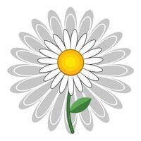 Elegant echo wave daisy featuring its repetitive petal shadow in design vector
