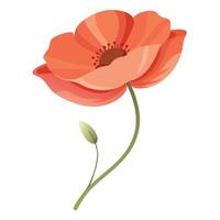 Elegant poppy with delicate whisper-like petal edges in illustration vector