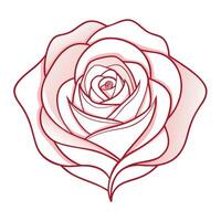 Elegant echo line rose featuring its rhythmic repetition in design vector