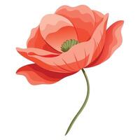 Unique poppy featuring its refined whisper-like edges in design vector