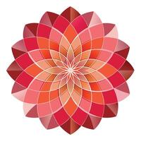 Unique elliptical petal blossom highlighting its nested geometric structure in graphic vector