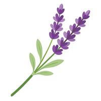 Modern fading lavender showcasing its subtle transparency in art design vector