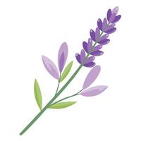 Unique fading lavender highlighting its delicate transparency in graphic vector