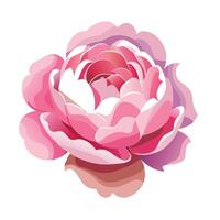 Unique fading petal peony highlighting its subtle vanishing outlines in graphic vector