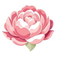 Unique fading shadow peony highlighting its subtle gradient fade in graphic vector