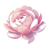 Delicate peony with feather light and barely there edges illustration vector