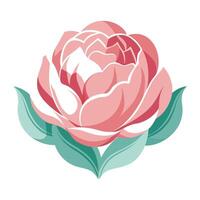 Peony with feather light petals and soft curves illustration art vector