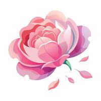 Peony with feather light petals and barely visible edges illustration art vector