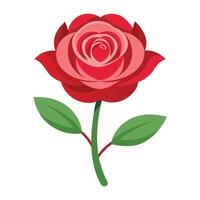 Modern flat style rose with continuous flow illustration isolated vector