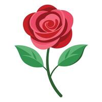Rose in flat design with continuous flowing lines illustration art vector