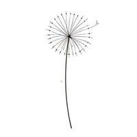 Modern dandelion with floating seeds in the air illustration vector