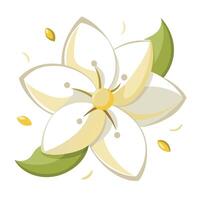 Jasmine with floating and dispersed petals illustration delicate art vector