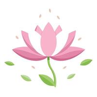 Modern lotus with floating petals gently scattered illustration floral vector
