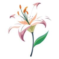 Modern lily with floating petals in an asymmetrical design illustration vector