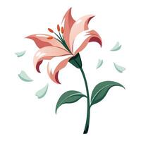Elegant lily with floating petals in asymmetrical placement illustration vector