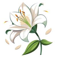 Lily with floating petals in asymmetrical arrangement illustration art vector