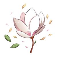 Magnolia with floating petals in asymmetrical arrangement illustration vector