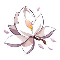 Elegant magnolia with floating petals in asymmetrical placement illustration vector