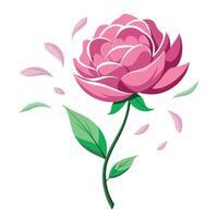 Elegant peony with floating petals in light dispersal illustration floral vector