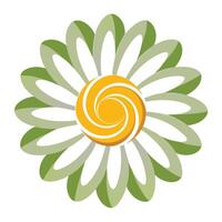 Abstract floral spiral daisy with a gentle soft motion effect in art vector