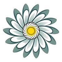 Unique floral spiral daisy highlighting its soft rotational movement in graphic vector