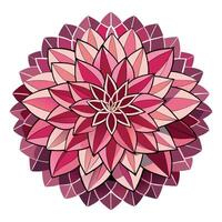 Elegant geometric dahlia featuring its accurate symmetrical pattern in design vector