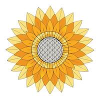 Unique geometric grid sunflower highlighting its precise structured form in graphic vector