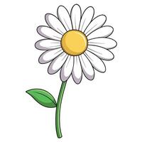 Abstract ghost outline daisy with a subtle faint tracing in illustration vector
