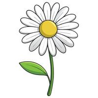 Elegant ghost outline daisy featuring its ethereal faint trace in design vector