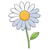 Modern ghost outline daisy showcasing its delicate faint lines in art vector