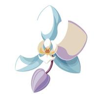 Modern glass effect orchid showcasing its translucent layered design in art vector