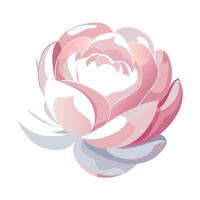 Abstract glass reflection peony with delicate transparent overlays in art vector
