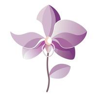 Abstract gradient fade orchid with gentle soft transitions in art vector