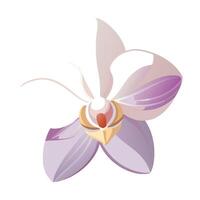 Unique gradient fade orchid highlighting its subtle color blending in graphic vector