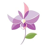 Modern gradient fade orchid showcasing its smooth color transitions in design vector