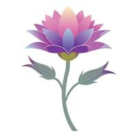 Elegant gradient fade wildflower featuring its smooth vanishing gradient in illustration vector