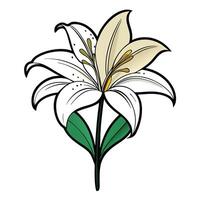 Modern half filled lily showcasing its unique contrasting design in art vector