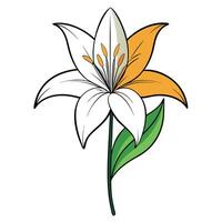 Elegant half filled lily featuring its creative contrast in design vector