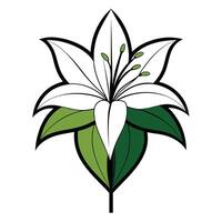Unique half filled lily highlighting its partial color fill in graphic vector