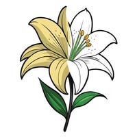 Abstract half filled lily with a strong artistic contrast in illustration vector