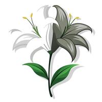 Half shadow lily with light and dark contrast illustration modern floral vector