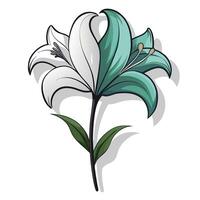 Elegant lily with half shadow contrast illustration light and dark floral vector