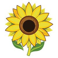 Hollow bloom sunflower with open center illustration modern floral vector